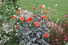 6 jardin Eveque (10)